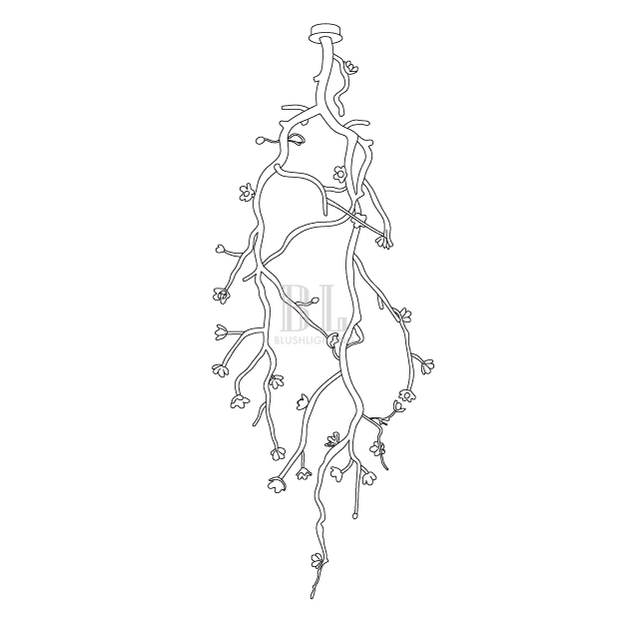 Large Long Branch Flower Chandelier - Brig Lighting